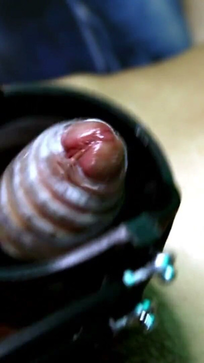 How long can this poor penis withstand the movements of a BDSM machine? | Clip 2