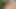 Indian hot wife ki Jungle Safai karte waqt chudai ki