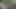 Horny in the woods the horny BBW milf fucked Part 1