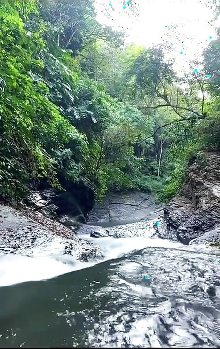 Took a Hike to a Private Waterfall