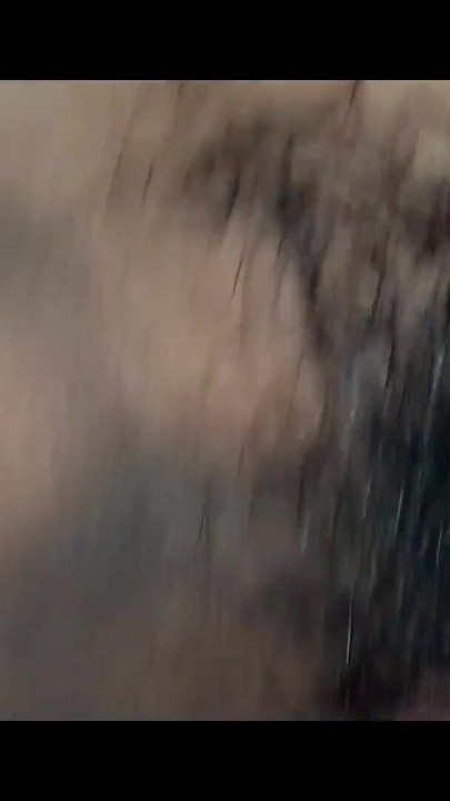 Superbe moment de « Un million d’années de silence »