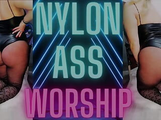 Adoração da bunda de nylon