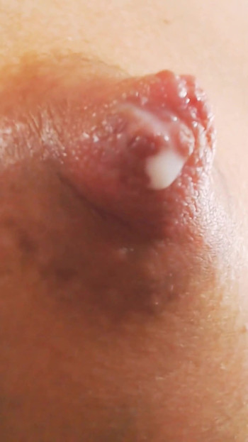 Sonniger tag, möpse melken