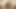 25 cm for Black Butt Milf
