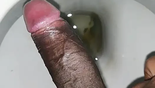 Desi boy masturbation in toilet