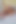 クイックのためのサプライズフラワー - Clubsweethearts