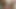 楽しいもの