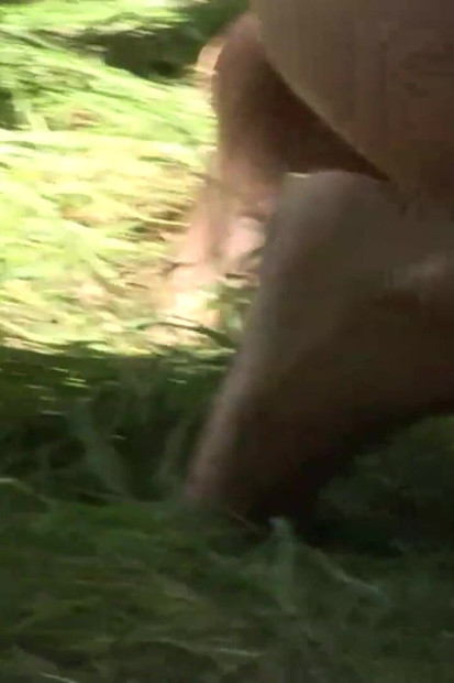 Kongkek dubur awek cantik panas di alam liar