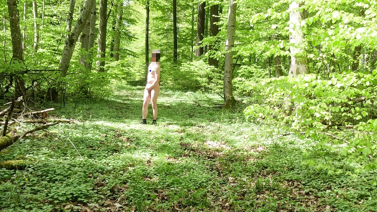 Nude walk in the woods, wanking and huge cumshot