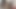 勝者のケビンは敗者に彼を興奮させるよう命じます