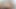 裸の秘部が大きなペニスの炎で震える