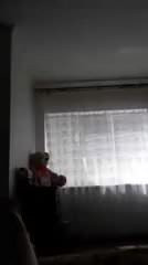 Persicope κορίτσι