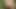 Sexy femboy jerking and playing with ass outside