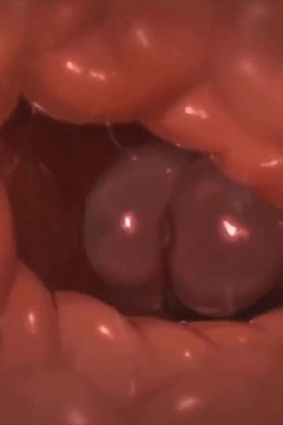 Tasque Manager X Bertukar