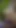 to take a walk in the woods. I didn't expect him to want sex, but I didn't refuse - his huge cock was powerfully… | Clip 2