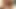 Mature and 2 young cocks 3