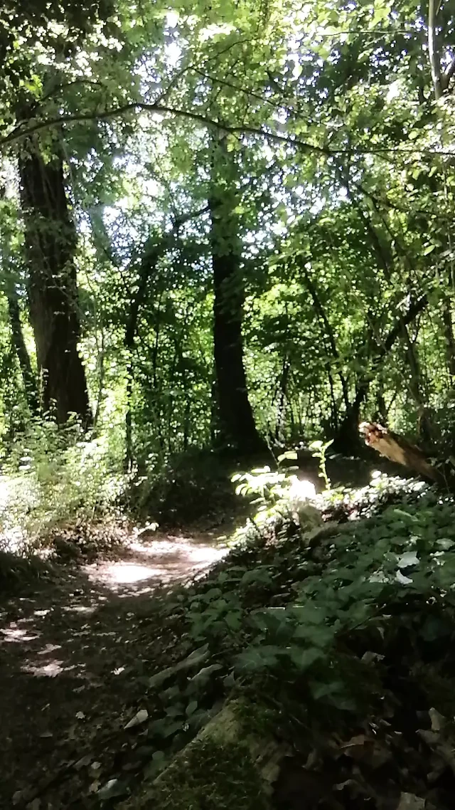 Cruising spots