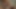 Desi bhabi blowjob handjob cam on face