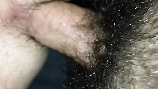 dilansafir