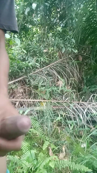 来自“我的花园有很多精子洒在这里”的史诗时刻