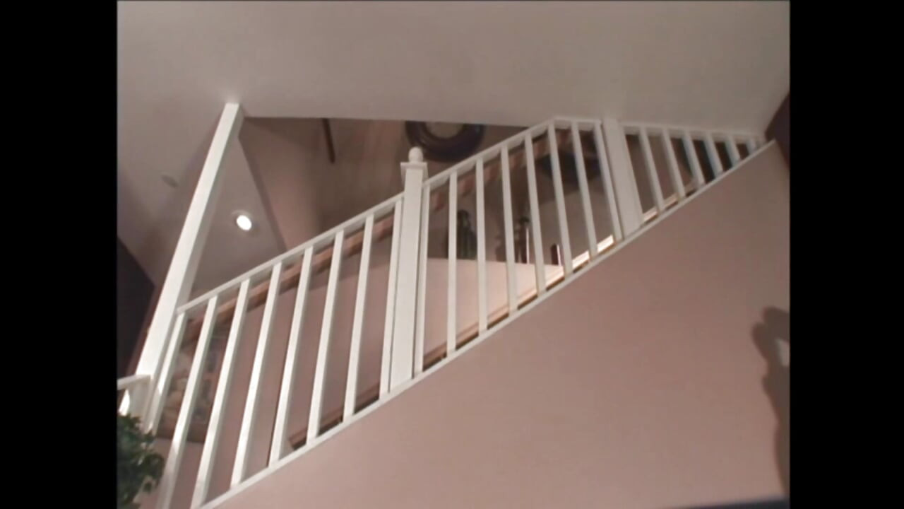 Bailey Brooks the Wild Lover