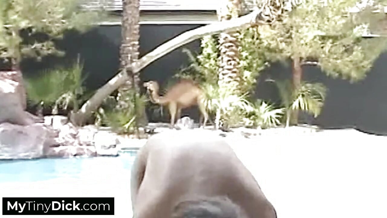 A cute blonde by the pool is sucking is small dick hard