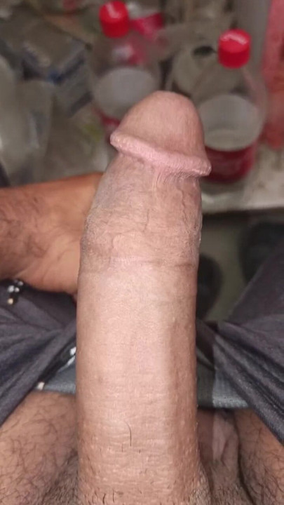 21 year old bull