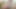 Tutkulu Asyalı gençler ateşli karşılaşmalarda ateşli oral seks yapıyor