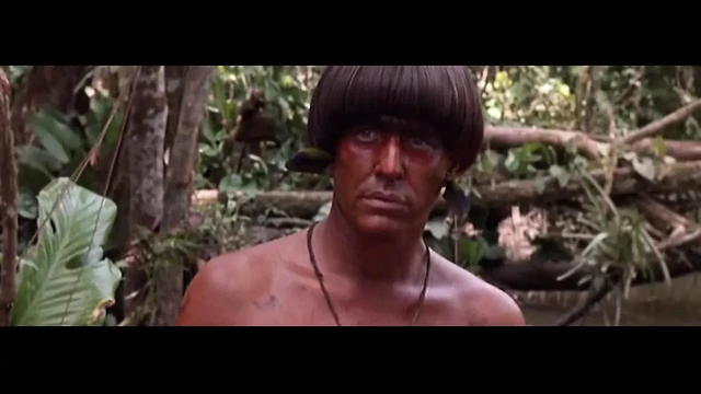 Daryl Hannah in At Play in the Fields of the Lord