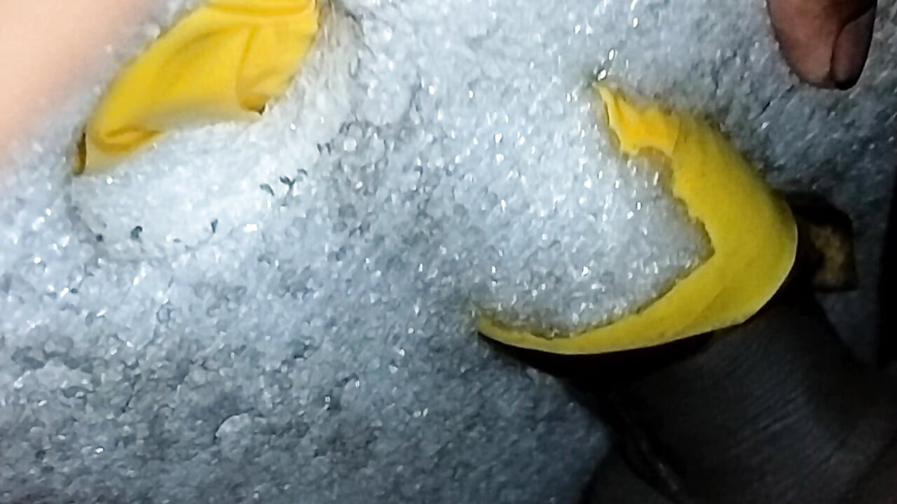 Beauty Cock