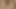 New New Desi Bhabhi Sex New Indian Bhabhi Sex