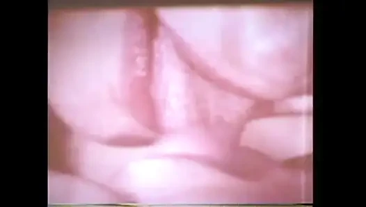 Leckere Und Verführerische Klitoris