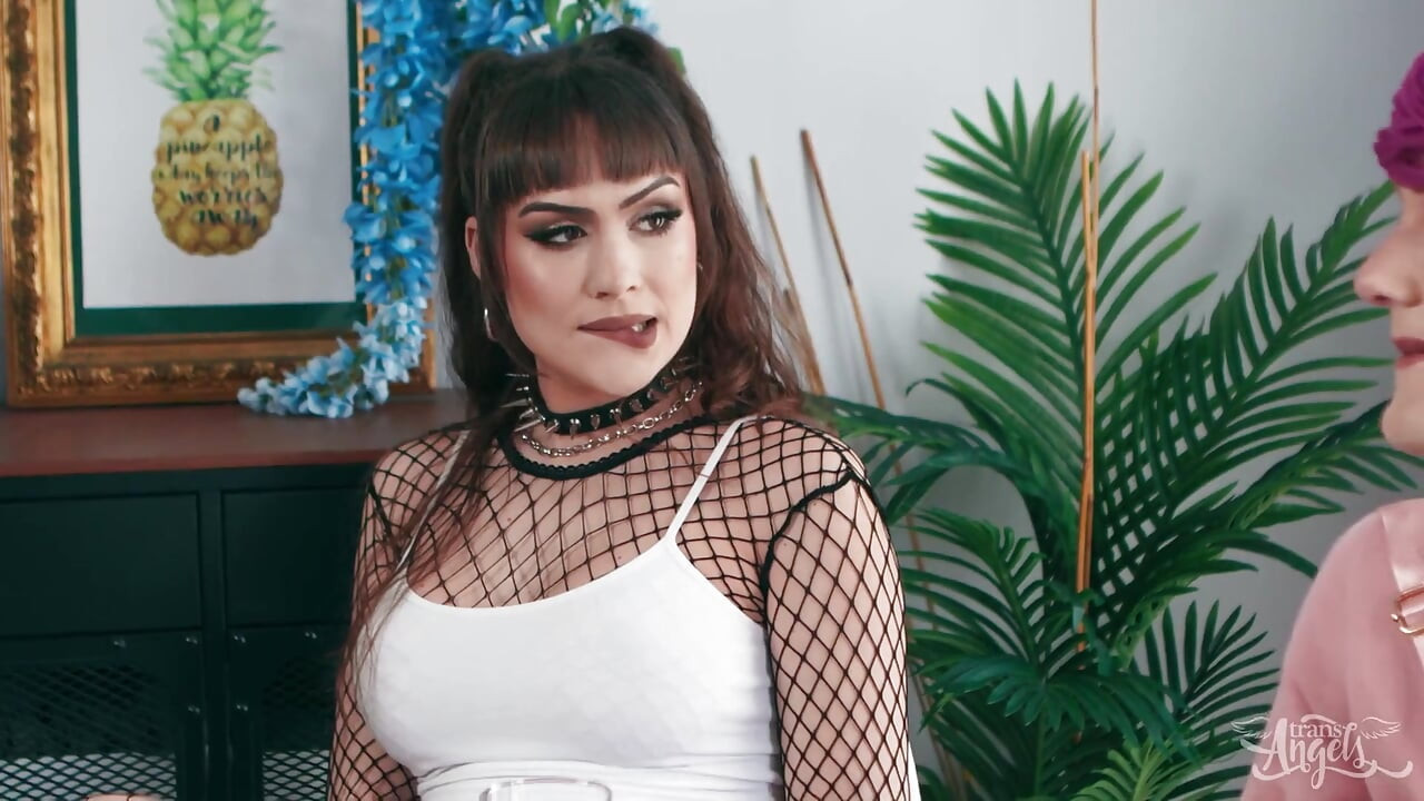 Transangels - Cramming It All in