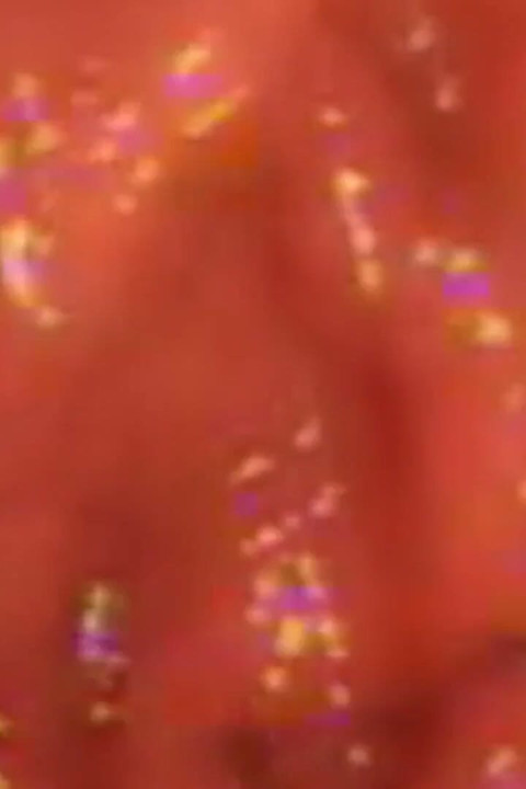 Inside Me the Journey of the Orange