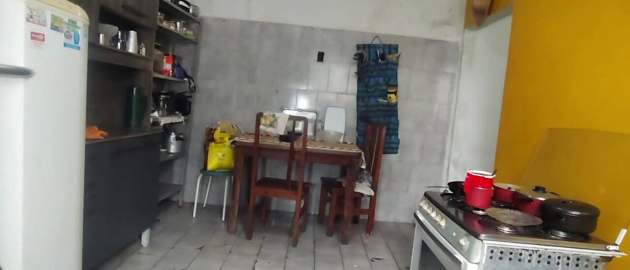 Cleaning the House