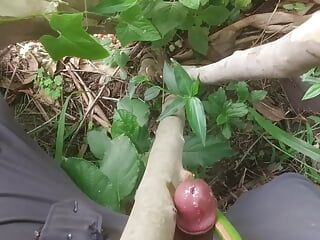 Meu pau quente, grosso pau, arbusto hindi, vídeo de sexo