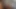 Wild Safari Car Sex With Hot African Girlfriend Caught In 4k