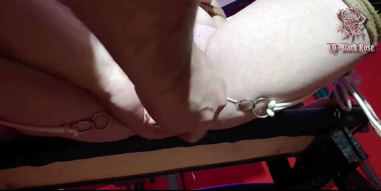 我女士的性感和色情统治