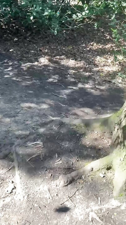 Melihat-lihat di taman, menemukan bahwa pria yang sudah menikah yang lapar mencari kontol.