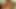 Cute young lovers enjoy passionate oral session