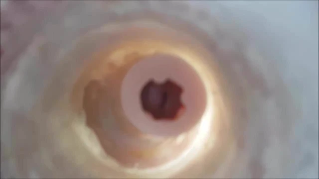 Solo Internal Cumshot, 007. More! More!