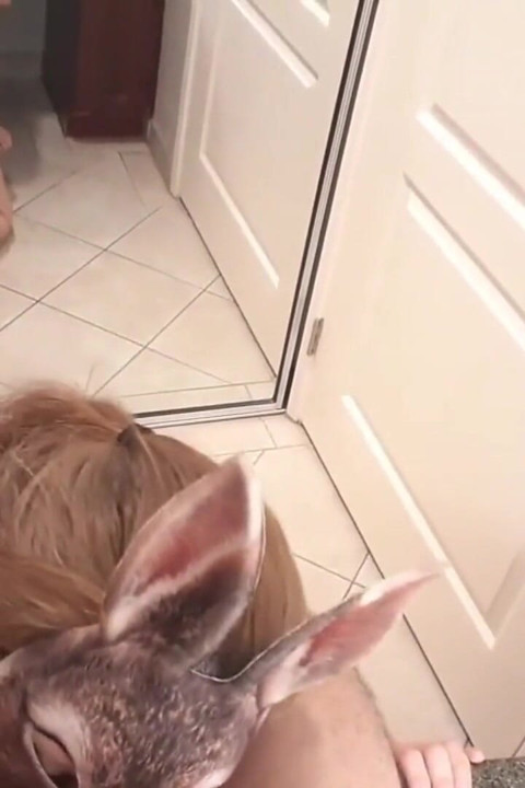 Bunny Blowjob