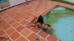 Pregled videozapisa