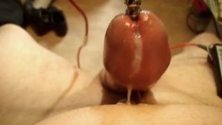 electro stimulation electrode dans bite + plug anal ejac