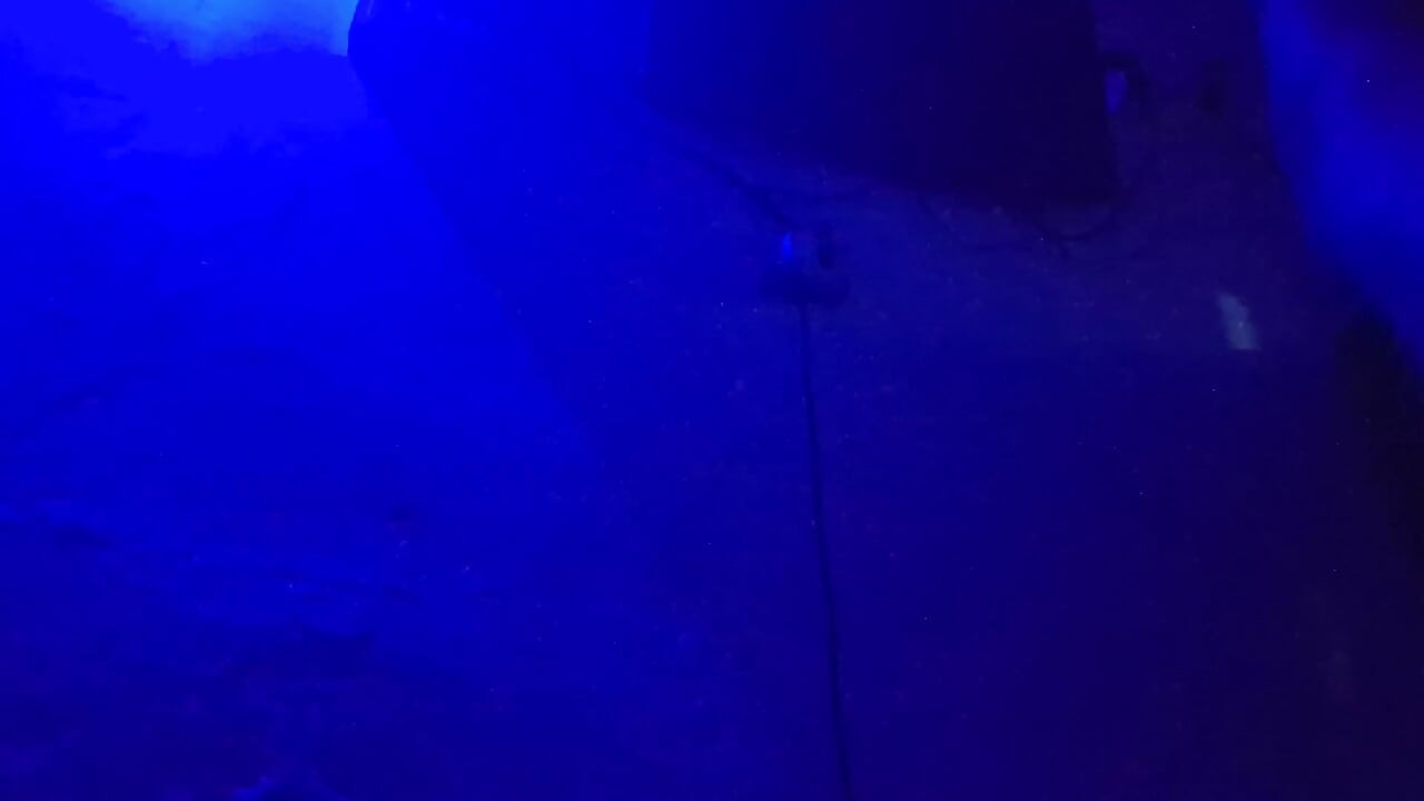 דסי צ'ודאי זוג הודי חם מזדיין זיון קשה