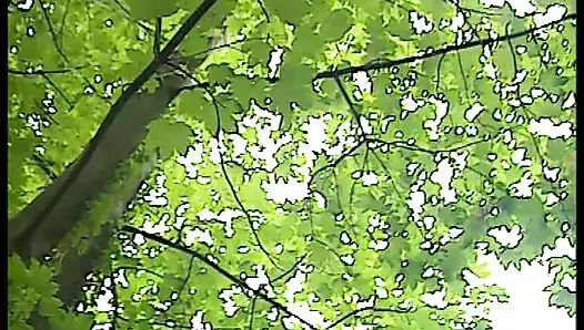 Blonde MILF in Forest Seduces Businessman...fuck Me Hard!