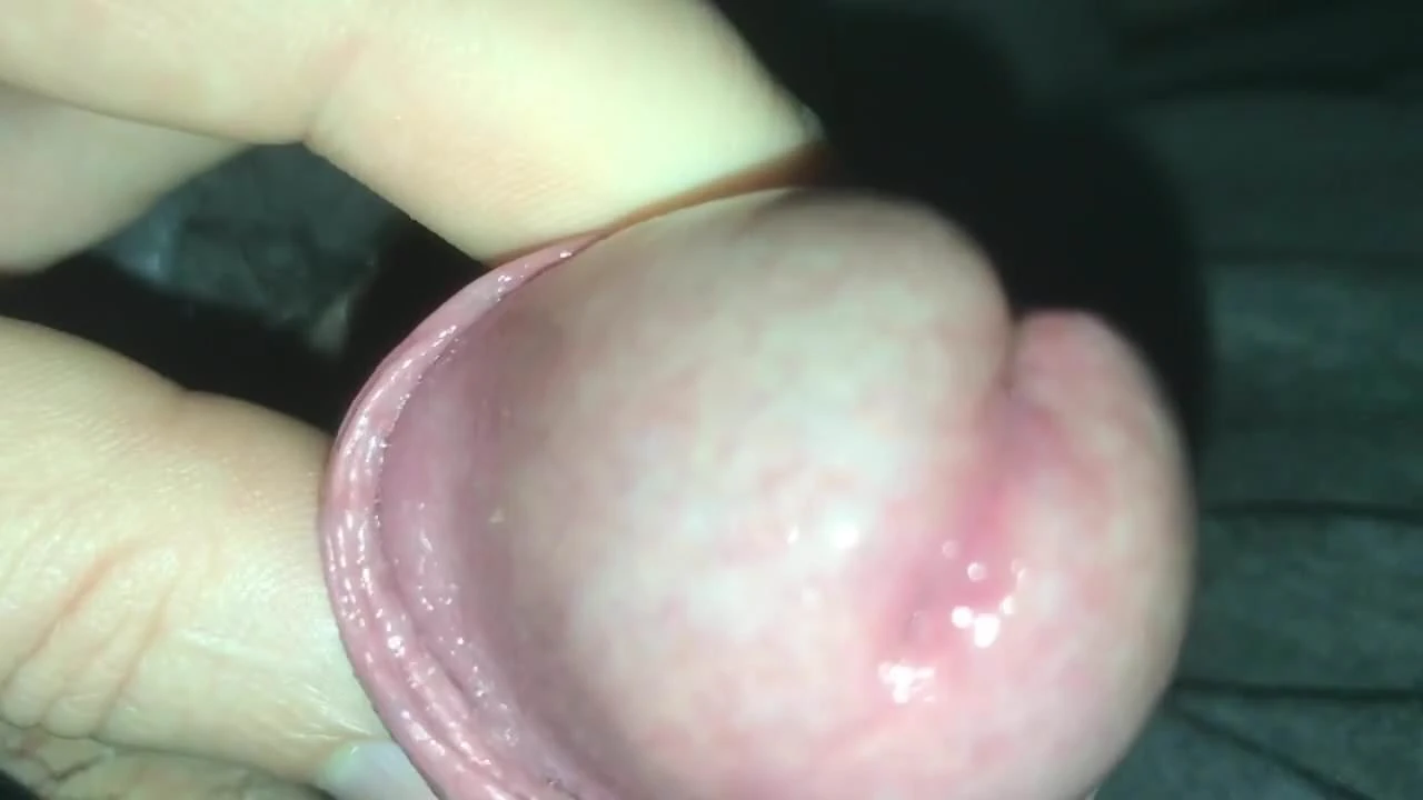 Wix precum