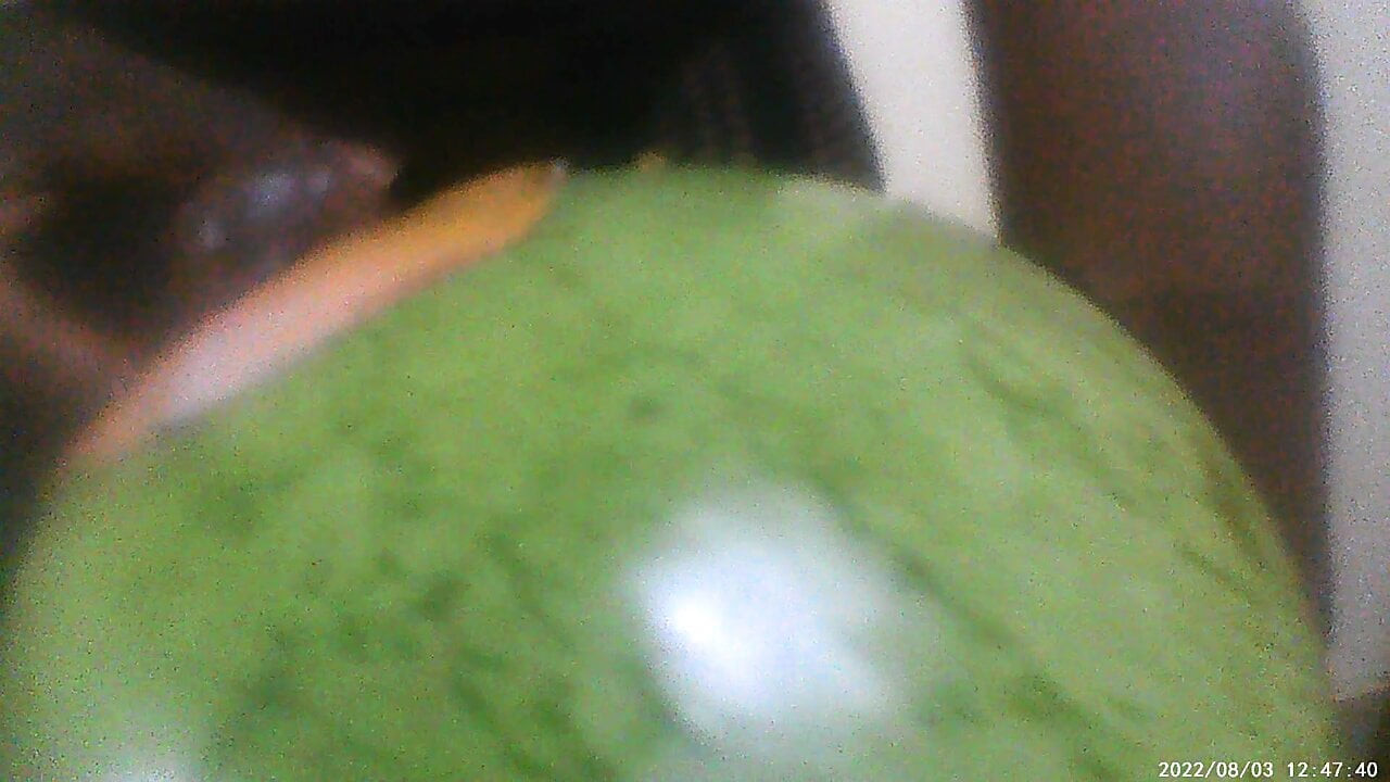 Horny Slut Husband Fucks and Cum on a Creampie Watermelon tight Asshole in Lace Fishnet