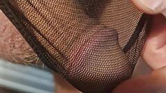 Sissy clitty leaking in lace panties
