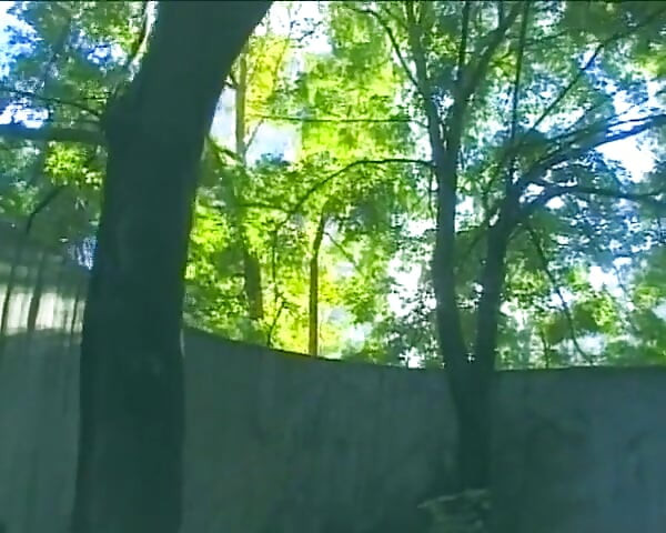 Busty German Babe Got Her Muff Penetrated Outdoor